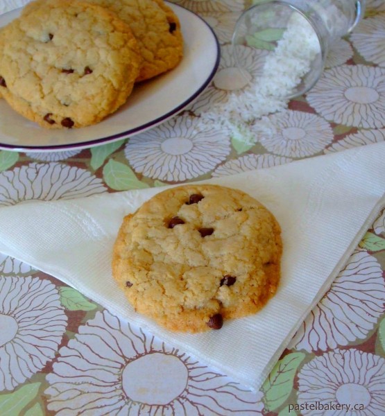 Gluten Free Dairy Free Coconut Chocolate Chip Cookies