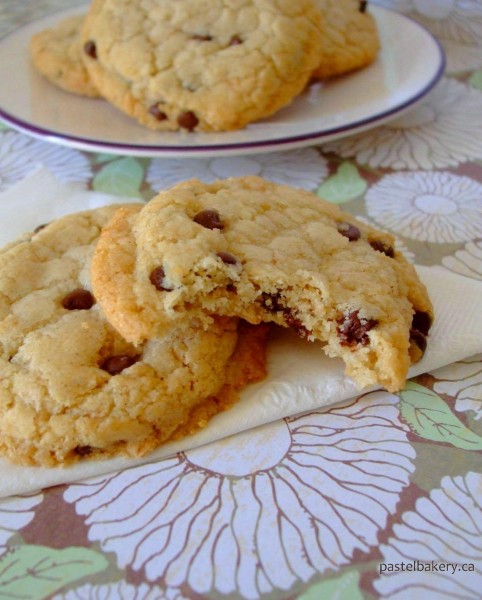 Gluten Free Dairy Free Coconut Chocolate Chip Cookies