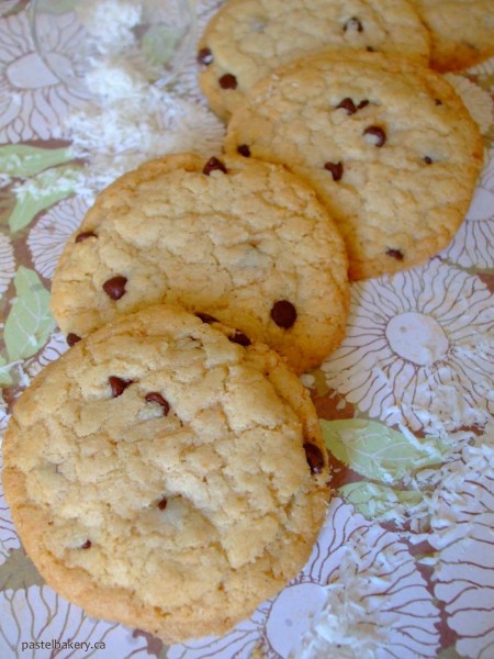 Gluten Free Dairy Free Coconut Chocolate Chip Cookies