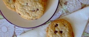Gluten Free Dairy Free Coconut Chocolate Chip Cookies