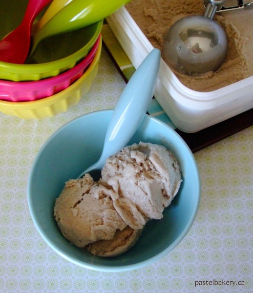 Gluten Free Dairy Free Vanilla Bean Ice Cream