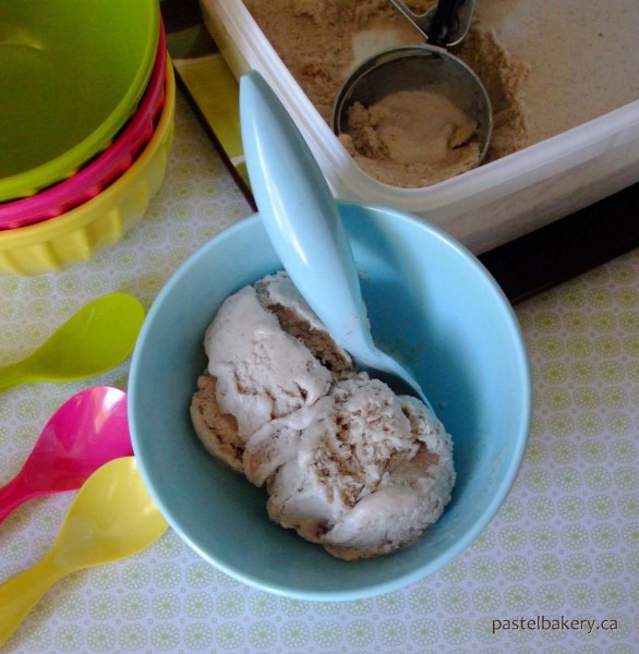 Gluten Free Dairy Free Vanilla Bean Ice Cream