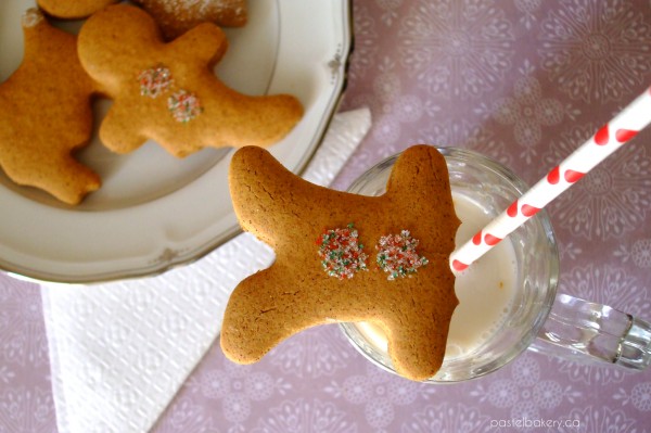 Gluten Free Dairy Free Cinnamon Orange Cookies