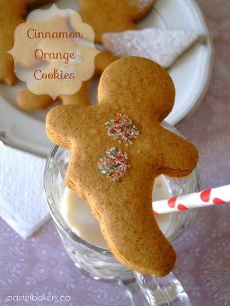 Gluten Free Dairy Free Cinnamon Orange Cookies