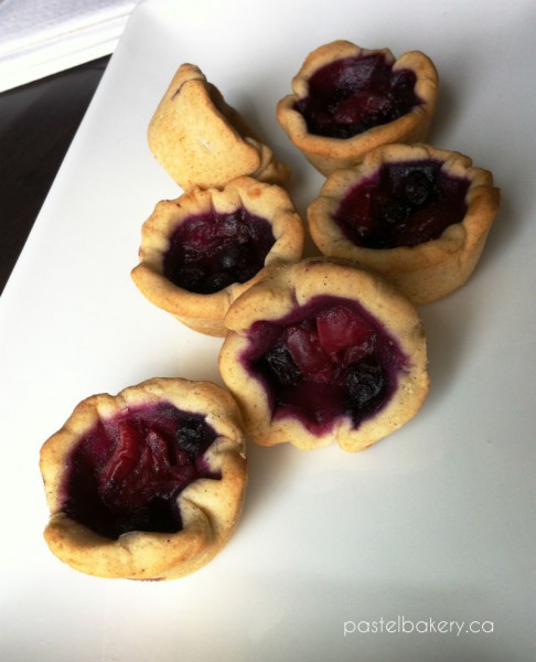 Gluten Free Dairy Free Fruit Tartlets-1 | pastelbakery.ca