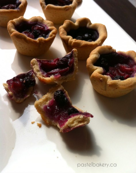 Gluten Free Dairy Free Fruit Tartlets-2 | pastelbakery.ca