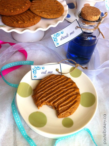 Gluten Free Dairy Free Molasses Cookies | pastelbakery.ca