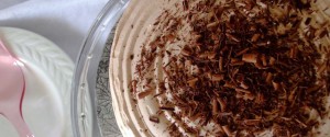 Gluten Free Dairy Free Hot Chocolate Cake | pastelbakery.ca