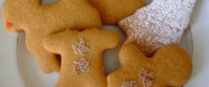 Gluten Free Dairy Free Cinnamon Orange Cookies | pastelbakery.ca